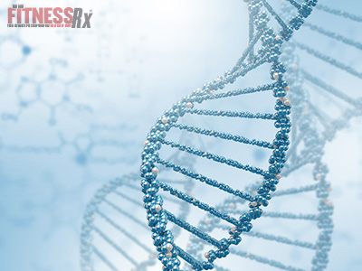 Genes Determine - The Best Diet for Weight Loss
