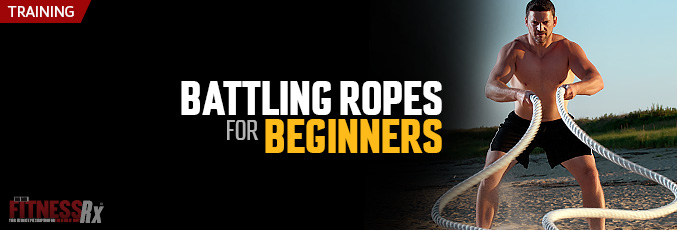 Battling Ropes for Beginners