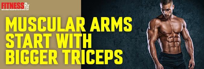 Muscular Arms Start With Bigger Triceps